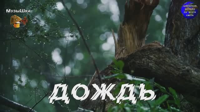 ♫ ДОЖДЬ !!! ПРОСТО ЛЕТНИЙ ДОЖДЬ !!! смотреть онлайн
