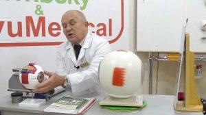 Близорукость, часть 2