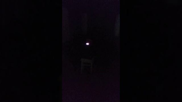 Стихи о рыжей дворняге /Эдуард Асадов/ смотреть онлайн