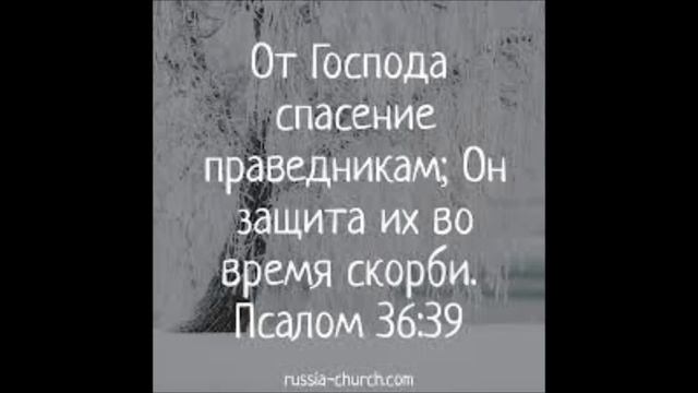 Вплетенная черная нить смотреть онлайн