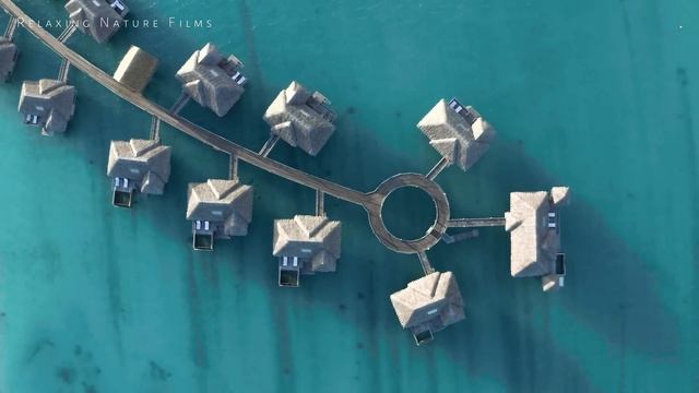 French Polynesia In 4k ?? Relaxing Nature Film With Meditation Music & Nature Sounds