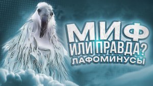 Что такое Лафоминусы и что такое КрабоРаковое божество? #мемиз2027