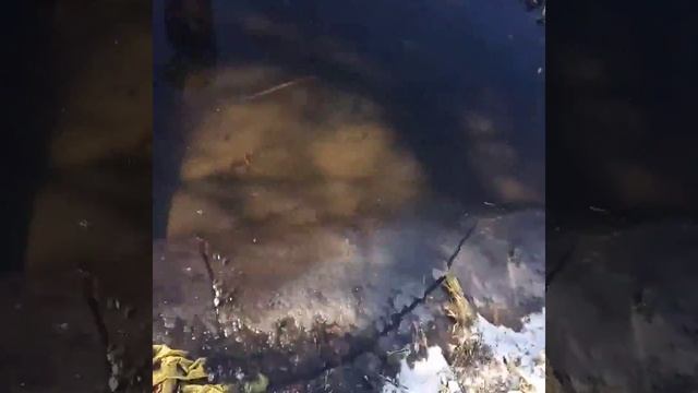 #ПЕРВЫЙ ВЛОГ:Нашли труп! смотреть онлайн