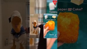 New DonaldDucc TikTok Reaction 2022 | Best Donald Ducc TikToks 2022