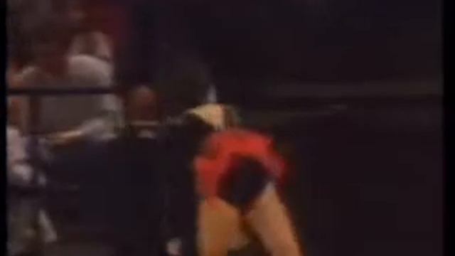 Midori Ito 1993 World Pro TP (JPTV) смотреть онлайн