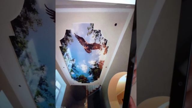 натяжные потолки самые красивые фото смотреть онлайн