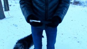 Телескопическая дубинка пружинная - обзор