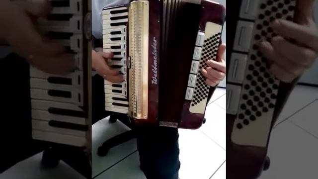 Acordeon 96 Baixos смотреть онлайн
