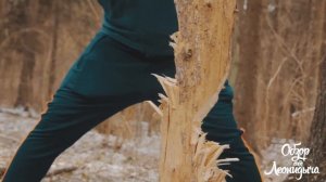 Обзор от Леонидыча - Топор FISKARS X15 / Технология рубки дерева