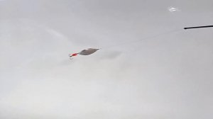 Блесна "Сенеж" советского периода (завод "Сатурн")