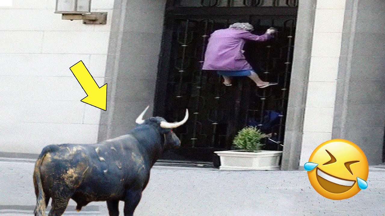 ? Попробуй не смеяться ? Лучшая подборка смешных видеороликов ? Валялся на полу от смеха ? РЖУ смотреть онлайн