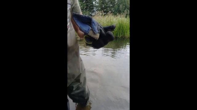 О ловле рыбы на реке З.Березина смотреть онлайн