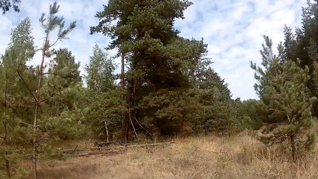Динамичная игра. Страйкбол. смотреть онлайн