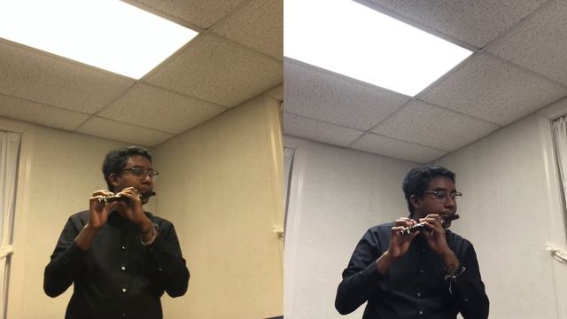 Quantz Presto Piccolo Duet смотреть онлайн