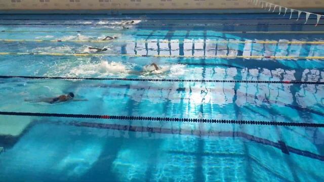 День кролиста ДЮСШ №1 31.10.23 Кривой Рог смотреть онлайн