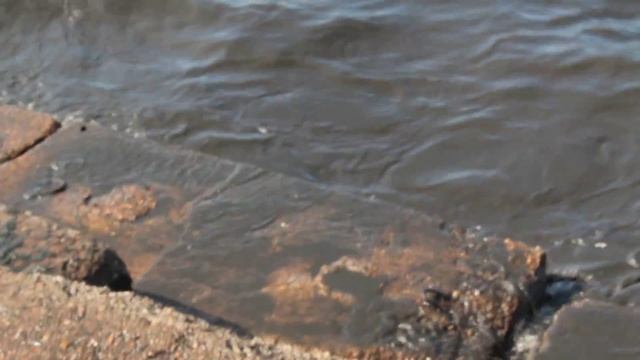 Сточные воды прямо в Байкал!!! смотреть онлайн