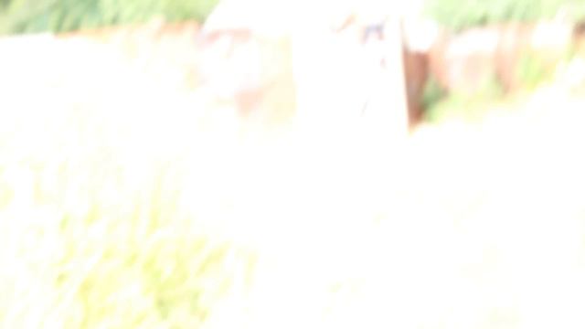 "семейство клещей" смотреть онлайн