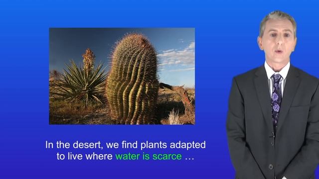 GCSE Biology Revision "Environmental Change" (Triple) смотреть онлайн