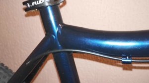 Forward Sporting 29 X
