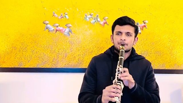 Hongaarse Dans No. 1 - Johannes Brahms, on Clarinet смотреть онлайн