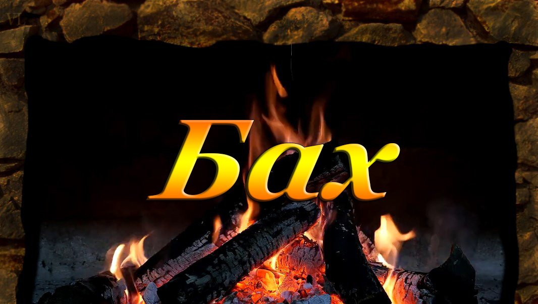 БАХ -  гобой и скрипка, BWV 1060( Adagio)