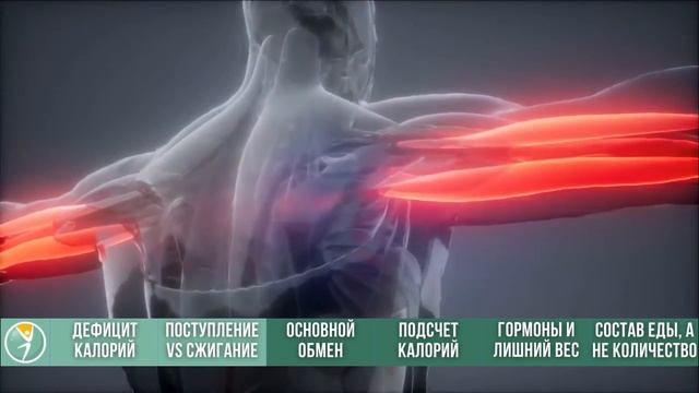 Дефицит калорий. Почему худеют не все и не всегда? смотреть онлайн