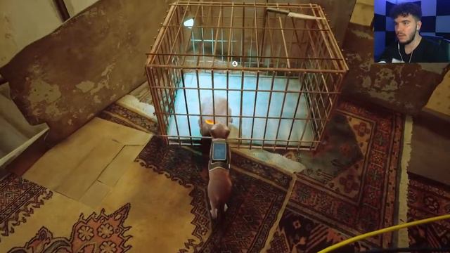 ЛЮБОВЬ И РОБОТЫ ● Stray #5 смотреть онлайн