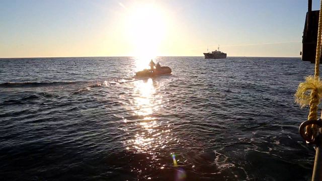 Пересадка моряков-рыбаков ТХ 