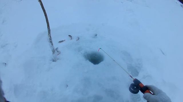 Рыбалка в ветреный день смотреть онлайн