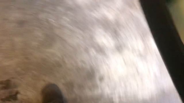 Разборка Ford - Galaxy 2000-2006, 1.9 TDI (VIN: WF0GXXPSSG2A45684) 36132 смотреть онлайн