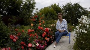 Сад Наталии Петренко