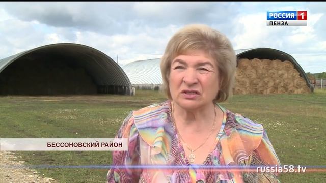 Перспективы овцеводства в Пензенской области смотреть онлайн