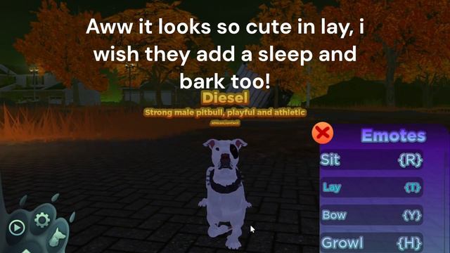 Canine odyssey| Pitbull review! смотреть онлайн