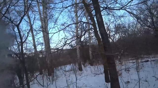 Охота на зайца с русскими гончими №8часть 2 смотреть онлайн
