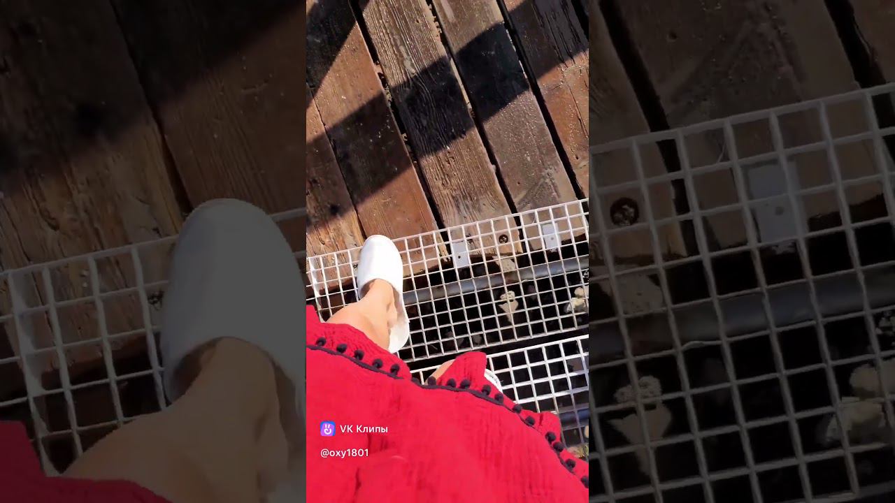 Morning in Morocco ☕️ смотреть онлайн