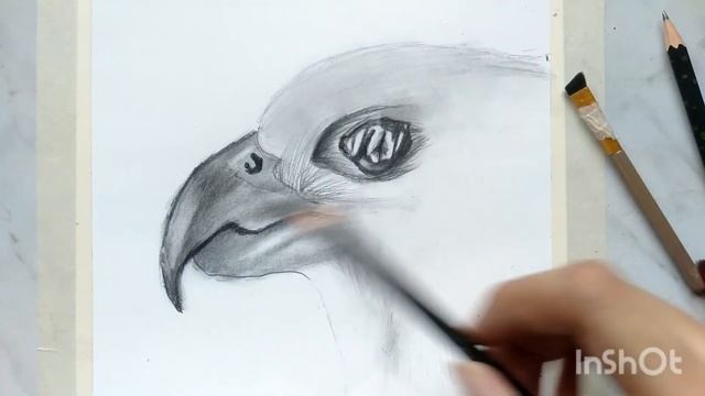 How to draw a black bird sketch смотреть онлайн