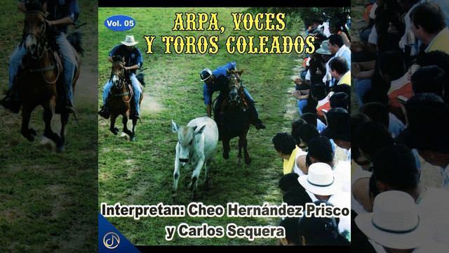 Toros el Fin de Semana смотреть онлайн