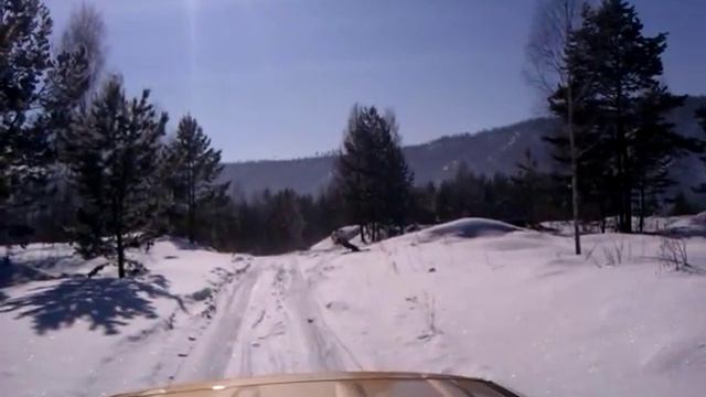 VIDEO0014 смотреть онлайн