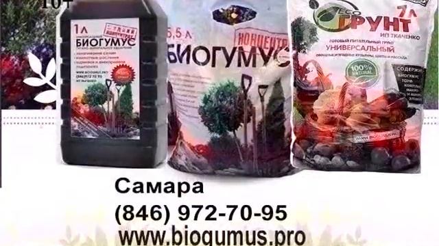 Дачные советы Галины Старосельцевой Ноябрь 26-2020 смотреть онлайн