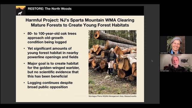 Mythbusters 2: Logging for Wildlife in New England Forests? Separating Truth From Fiction смотреть онлайн