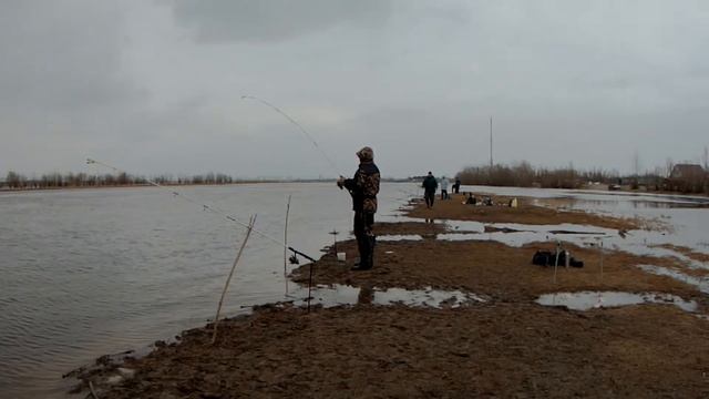 Хороший язь на закидушки часть 1 смотреть онлайн
