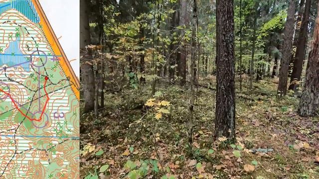 Спортивное ориентирование (headcam orienteering) - Лесная Карусель 2022, эстафета, Смоленск 02.10.2 смотреть онлайн