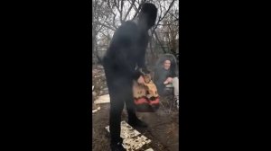 Забавные кубики. Подборка приколов. Vol14