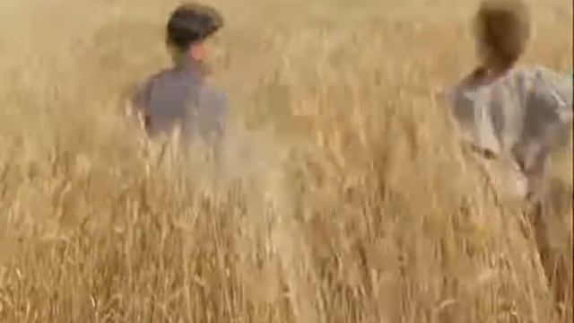 And Also The Trees - Misfortunes (Philip Ridley - The Reflecting Skin) смотреть онлайн