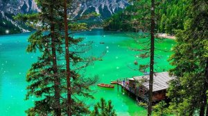 Самая красивая мелодия на свете! Музыка приносит большое счастье  Красивые цветы #79