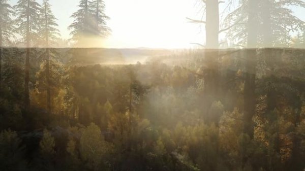 PALLADIO - Asturia Quartet