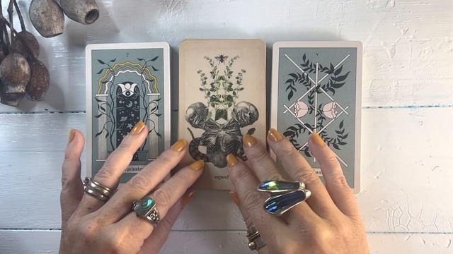 Best of …Tarot and Oracle Pairings part I смотреть онлайн