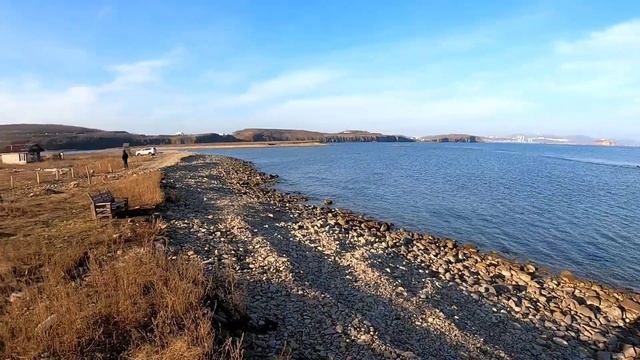 Где зимуют осьминоги? Во Владивостоке.) смотреть онлайн