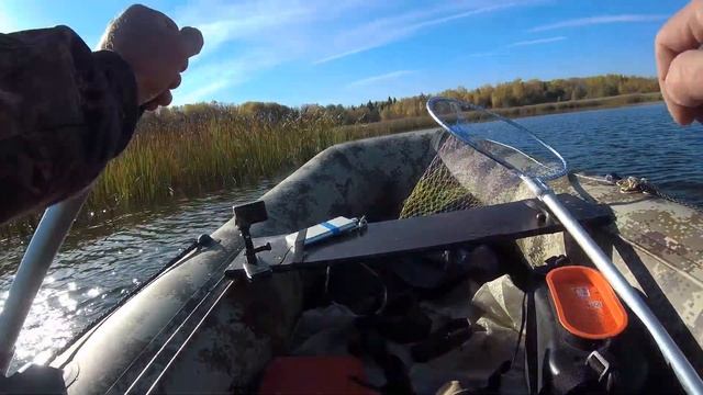 ВОТ ЭТО МЫ ПОПАЛИ !!! ПРЯМО В ПАСТЬ ЩУКЕ . ЛОВЛЯ ЩУКИ НА КРУЖКИ В НОЯБРЕ . смотреть онлайн