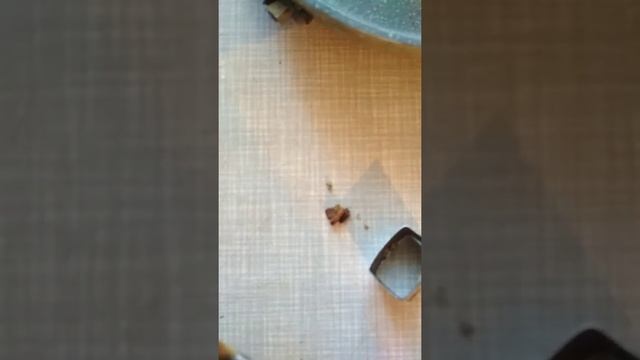 Полное фиаско сковороды Faberlic из серии Дом Фаберлик!!! смотреть онлайн